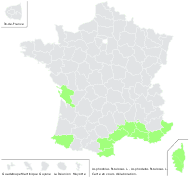 Asphodelus fistulosus L. - carte de répartition
