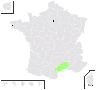 Busbequia ciliaris Salisb. - carte de répartition