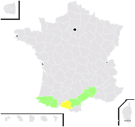 Brimeura amethystina (L.) Chouard - carte de répartition