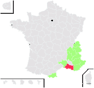 Bulbocodium vernum L. - carte de répartition