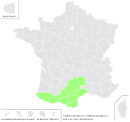Fritillaria pyrenaica L. - carte de répartition