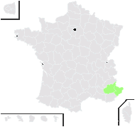 Fritillaria caussolensis Goaty & Pons ex Ardoino - carte de répartition