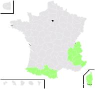 Gagea fragifera (Vill.) E.Bayer & G.López - carte de répartition