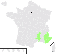 Scilla pallida Salisb. - carte de répartition