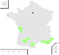 Tristagma uniflorum (Lindl.) Traub - carte de répartition