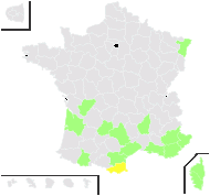 Lilium candidum L. - carte de répartition