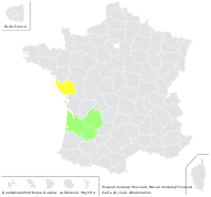 Muscari motelayi Foucaud - carte de répartition