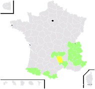 Anthericum graminiforme Dulac - carte de répartition