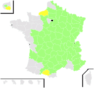 Scilla longistylosa Speta - carte de répartition