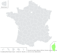 Prospero corsicum (Boullu) J.M.Tison - carte de répartition
