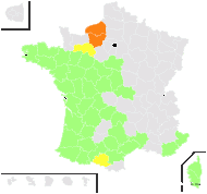 Simethis bicolor (Desf.) Kunth - carte de répartition