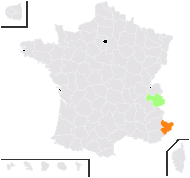 Tulipa billietiana Jord. - carte de répartition