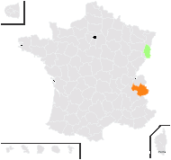 Tulipa marjolletii E.P.Perrier & Songeon - carte de répartition