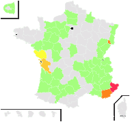 Tulipa tchitounyi Azn. - carte de répartition