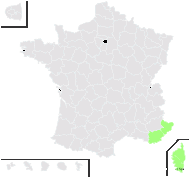 Drimia maritima (L.) Stearn - carte de répartition