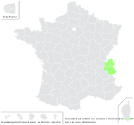 Anacamptis pyramidalis var. tanayensis Chenevard - carte de répartition
