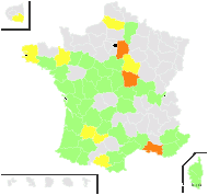 Anthemis hispanica Zuccagni - carte de répartition