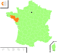 Orchis conopsea L. - carte de répartition