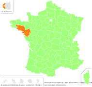 Gymnadenia conopsea (L.) R.Br. - carte de répartition