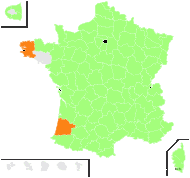 Neottia squamosa Dulac - carte de répartition