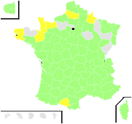 Chondrilla viminea Bubani - carte de répartition