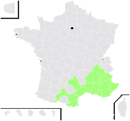 Ophrys bertolonii Moretti - carte de répartition