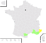 Ophrys ortuabis M.P.Grasso & L.Manca - carte de répartition