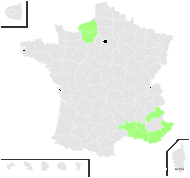 Ophrys arachnitiformis Gren. & M.Philippe - carte de répartition