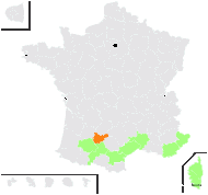 Neotinea lactea (Poir.) R.M.Bateman, Pridgeon & M.W.Chase - carte de répartition