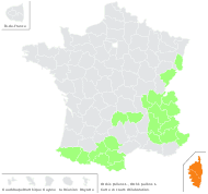 Orchis pallens L. - carte de répartition