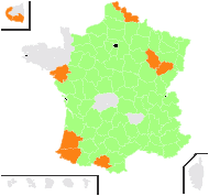 Orchis tephrosanthos Vill. - carte de répartition