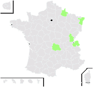 Mulgedium glabrum K.Koch - carte de répartition