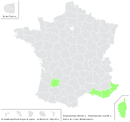 Chamaerops humilis L. - carte de répartition