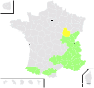 Arundo speciosa Schrad. - carte de répartition