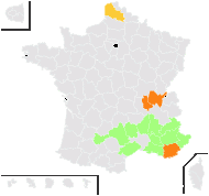 Triticum cylindricum (Host) Ces., Pass. & Gibelli - carte de répartition