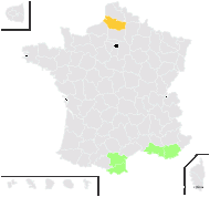 Aeluropus littoralis (Gouan) Parl. - carte de répartition