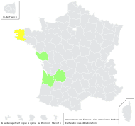 Aira armoricana F.Albers - carte de répartition
