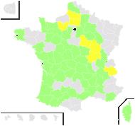 Aira multiculmis Dumort. - carte de répartition