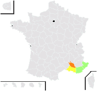 Aira pulchella var. provincialis (Jord.) Fiori - carte de répartition