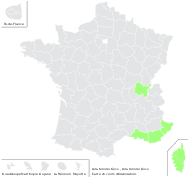 Aira tenorei Guss. - carte de répartition