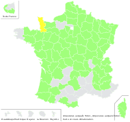 Alopecurus geniculatus var. fulvus (Sm.) Schrad. - carte de répartition