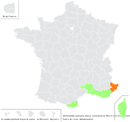 Ammophila arenaria [var.] australis (Mabille) Hayek - carte de répartition