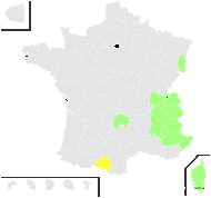 Anthoxanthum alpinum Á.Löve & D.Löve - carte de répartition