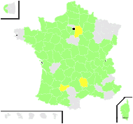 Arrhenatherum avenaceum proles precatorium (Thuill.) Rouy - carte de répartition