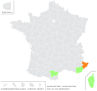 Arundo pliniana Turra - carte de répartition