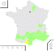 Avena bromoides Gouan - carte de répartition