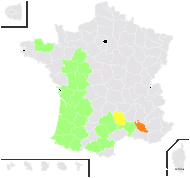 Helictotrichon sulcatum (J.Gay ex Boiss.) Potztal - carte de répartition