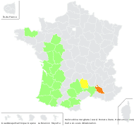 Helictochloa marginata (Lowe) Romero Zarco - carte de répartition