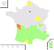 Festuca monostachya Poir. - carte de répartition