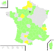 Bromus diandrus subsp. maximus (Desf.) Soó - carte de répartition